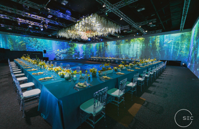 The Wow Factor in Events